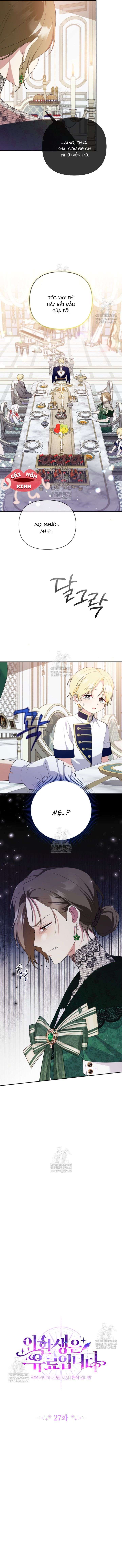 Chapter 27