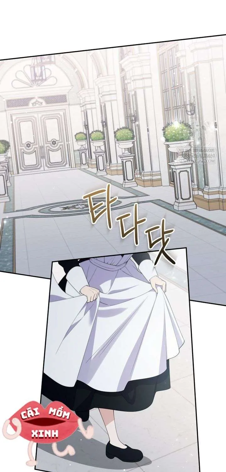 Chapter 28