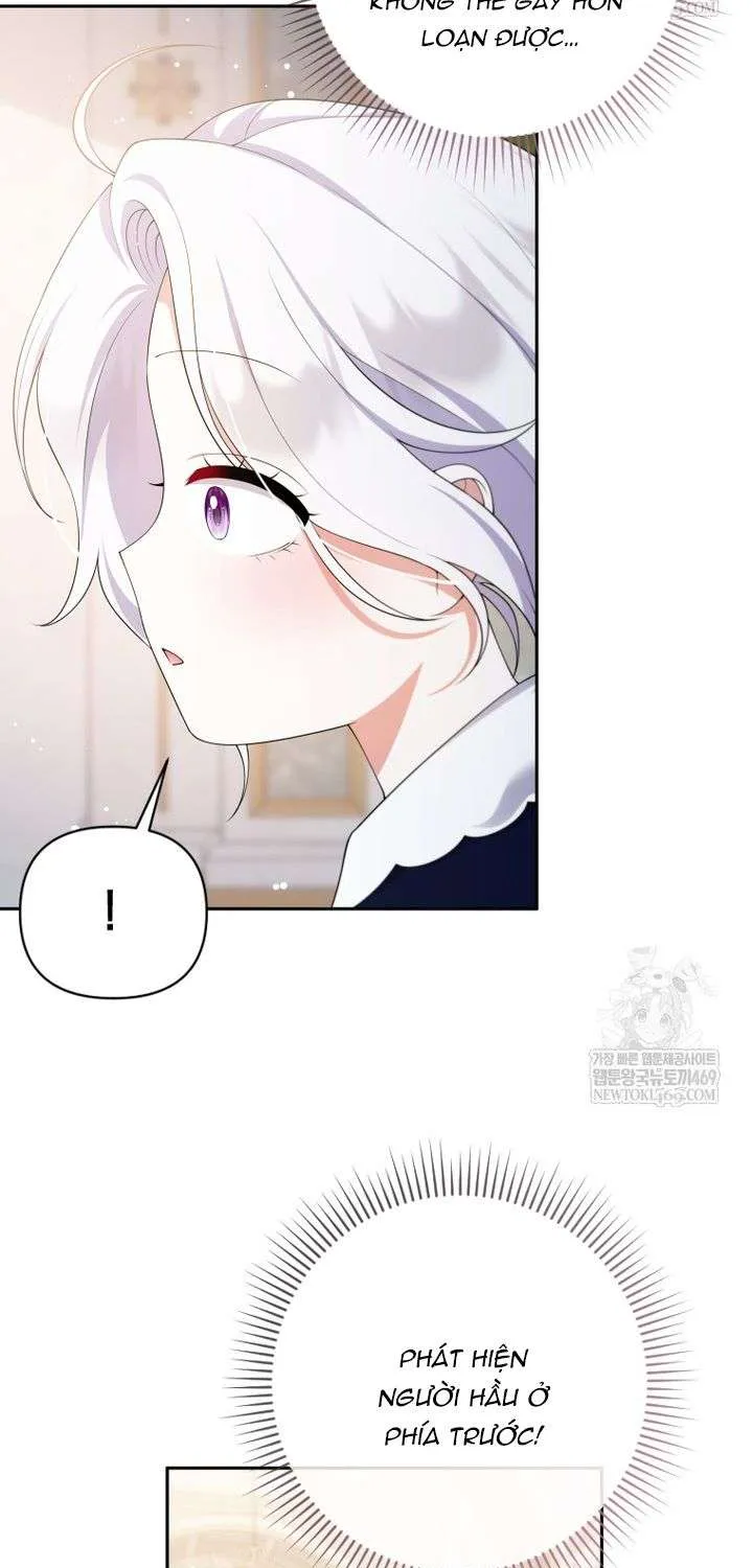 Chapter 28