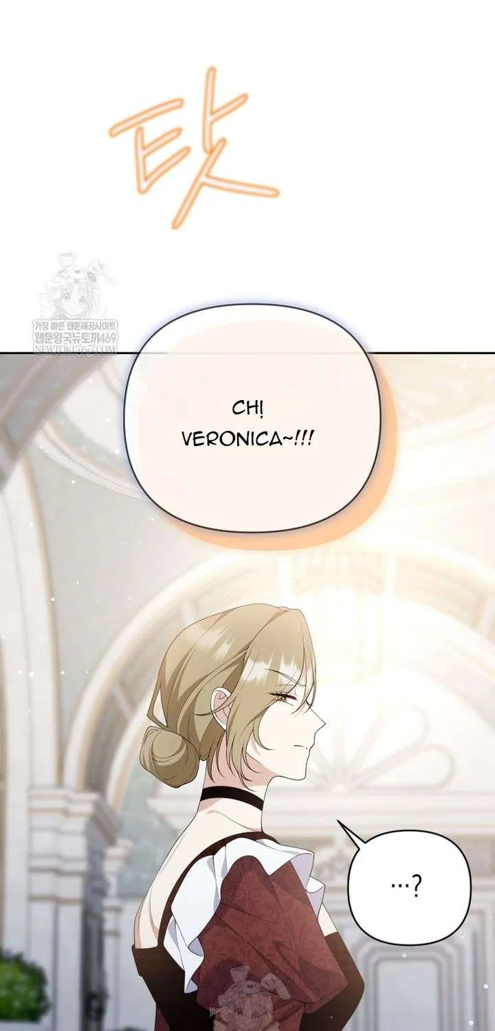 Chapter 28
