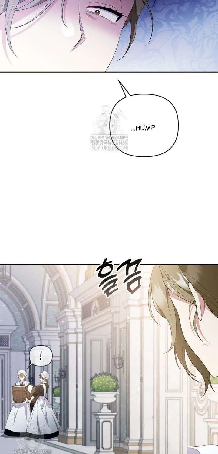 Chapter 28