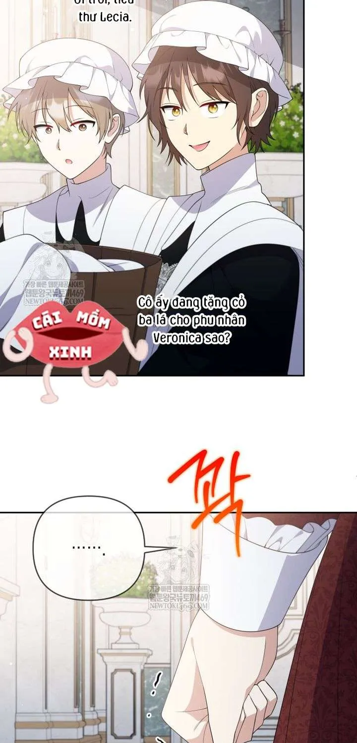 Chapter 28