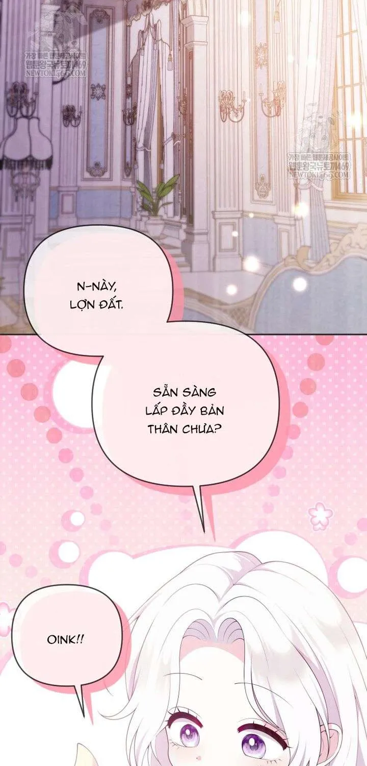 Chapter 29