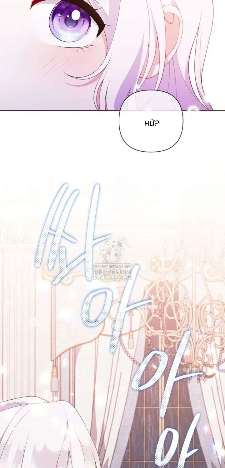 Chapter 29