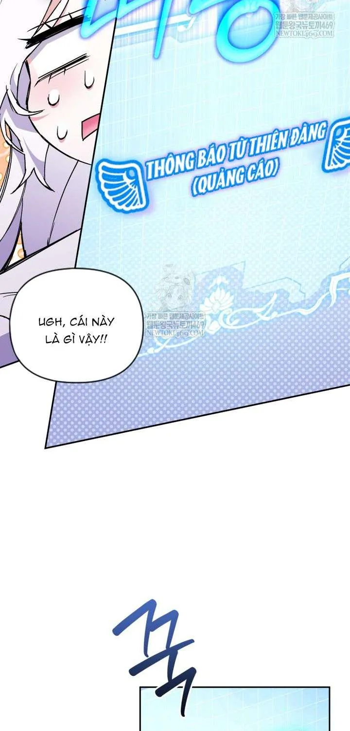 Chapter 29
