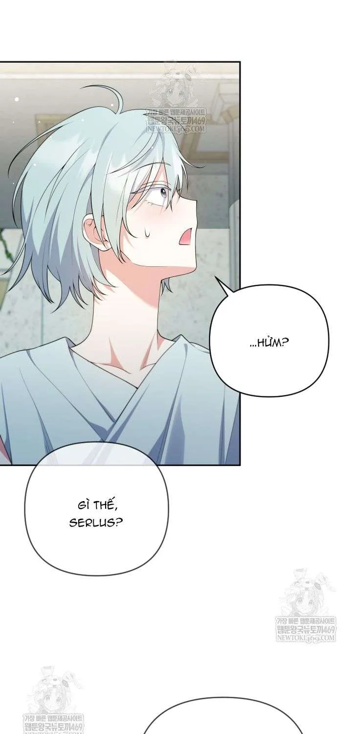 Chapter 29