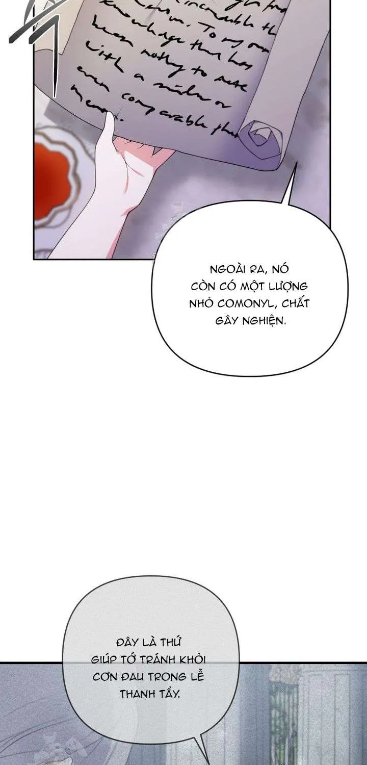 Chapter 31