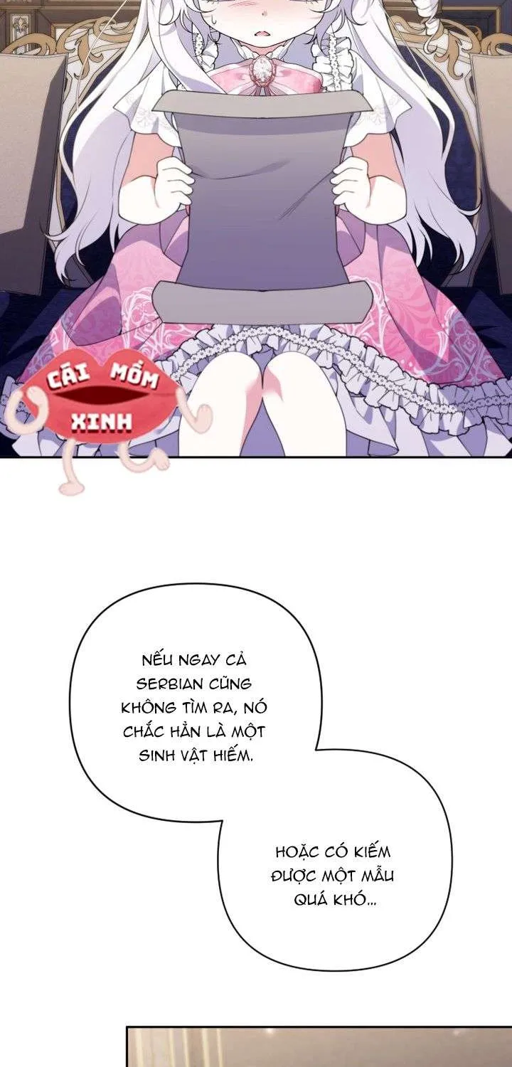 Chapter 31