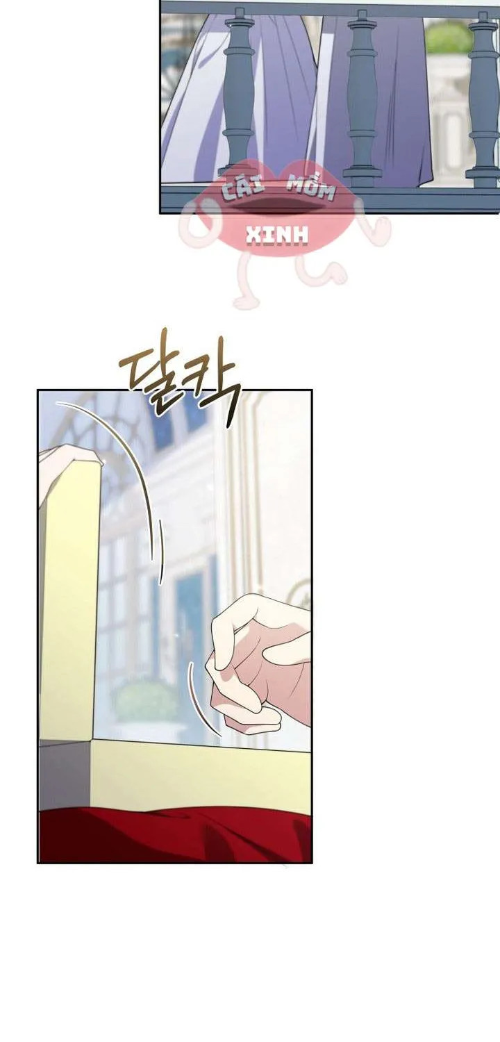 Chapter 33