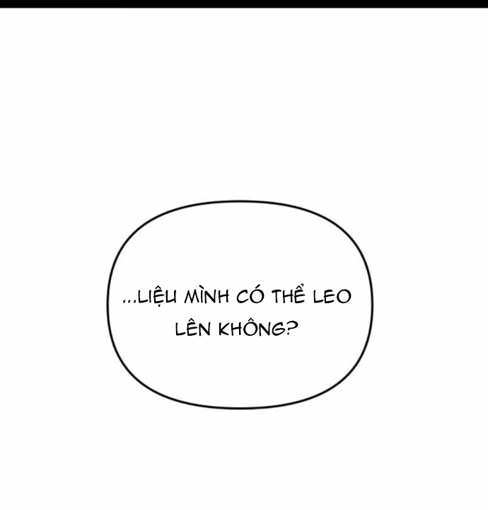 Chapter 46