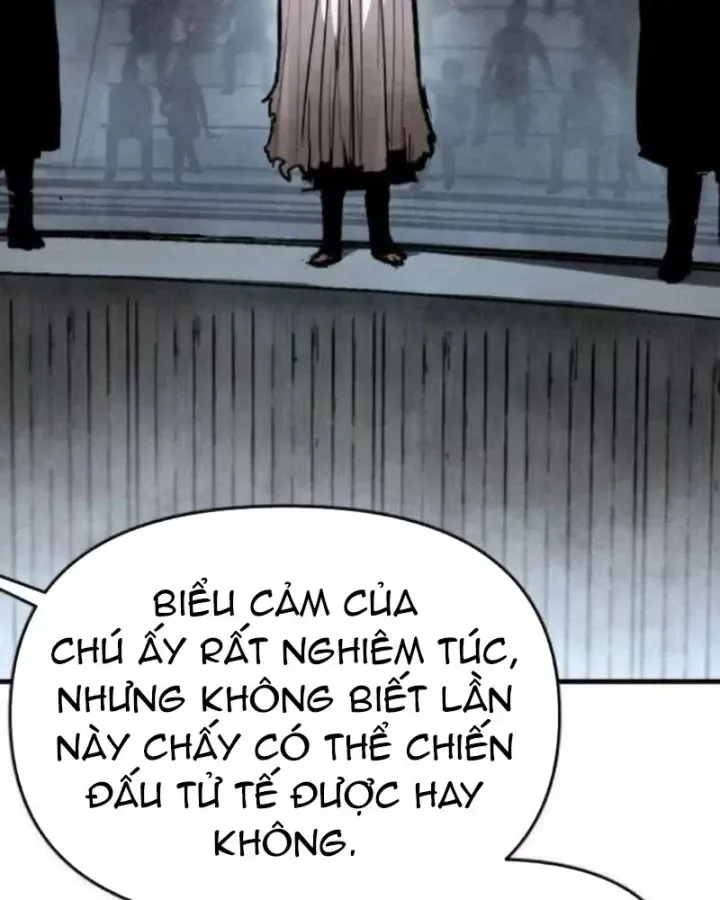 Chapter 49