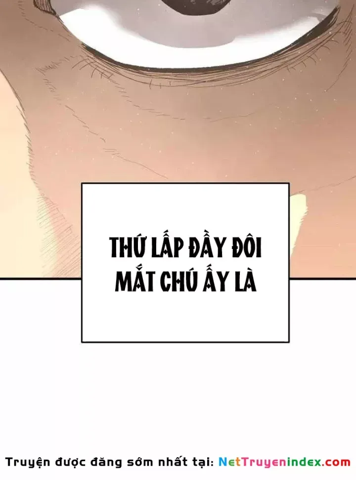 Chapter 51