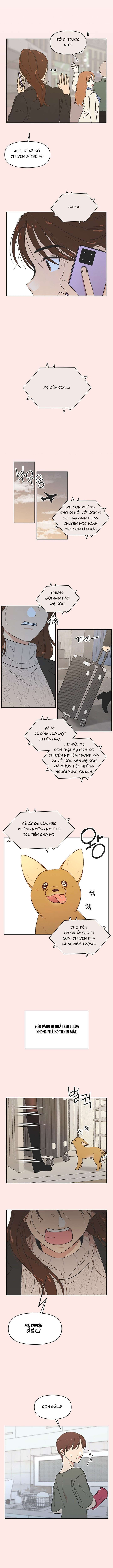 Chapter 49