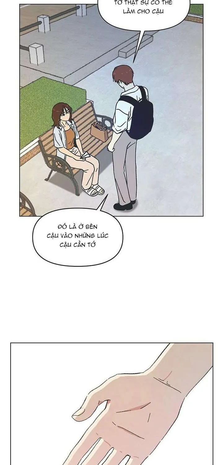 Chapter 55