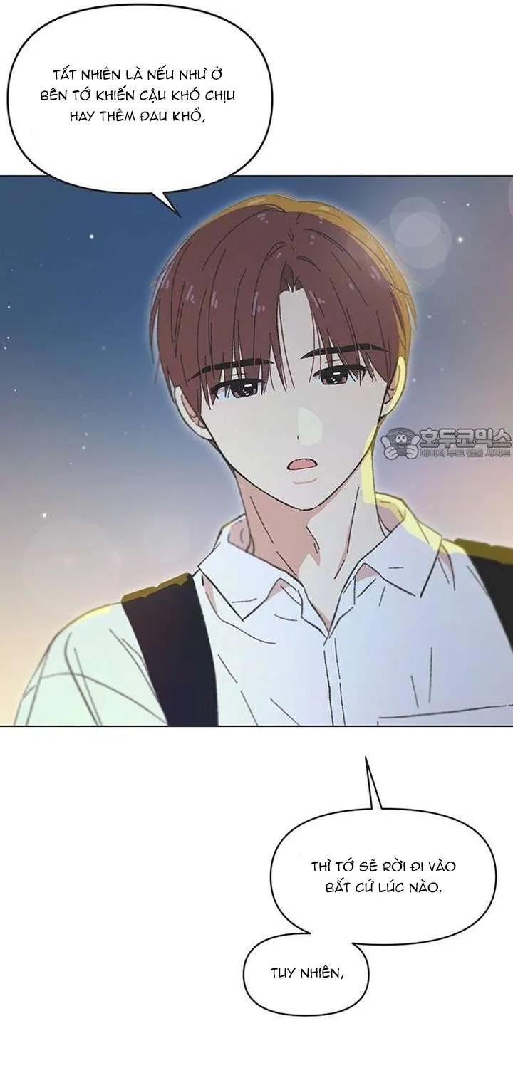Chapter 55