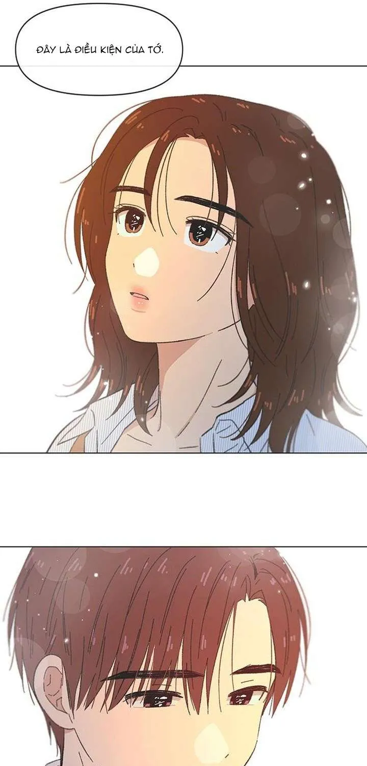 Chapter 55