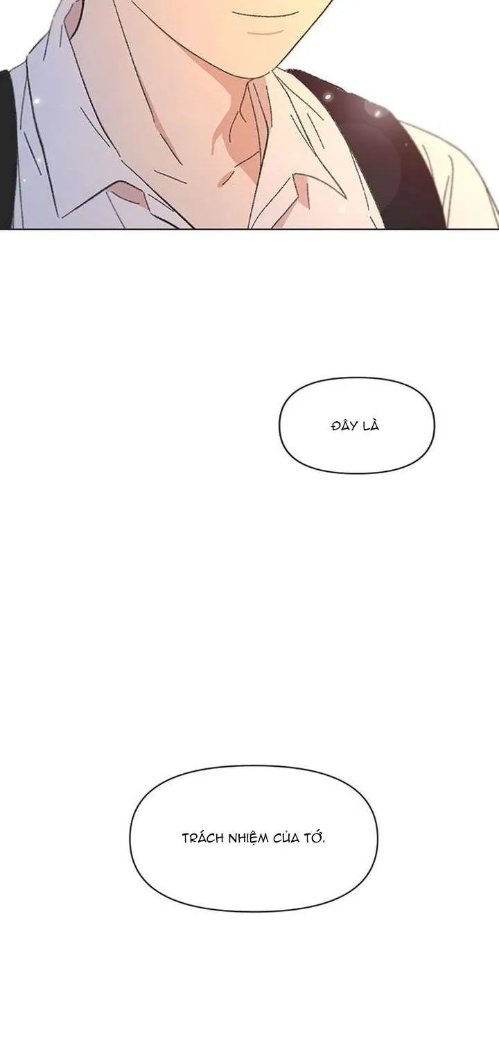 Chapter 55