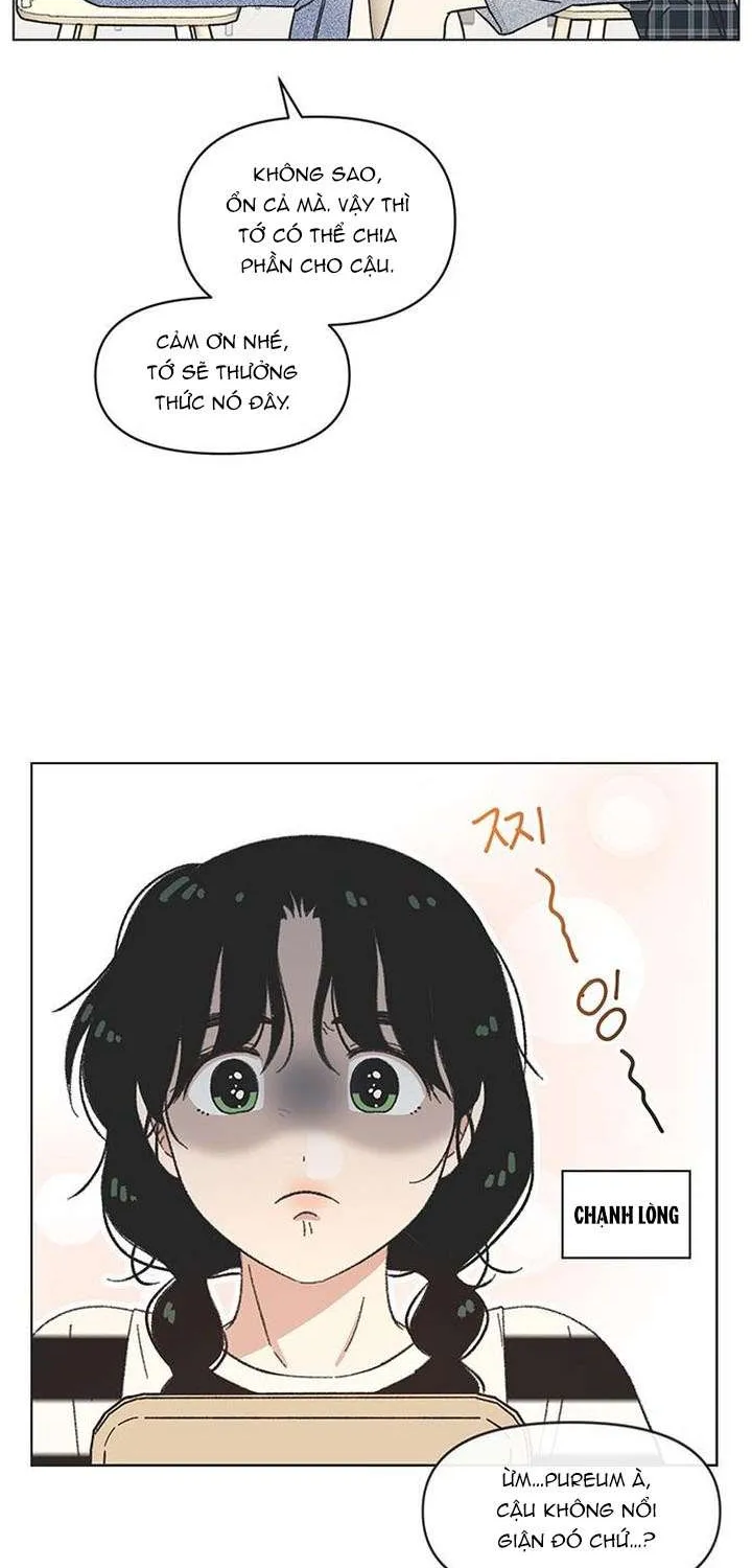 Chapter 55