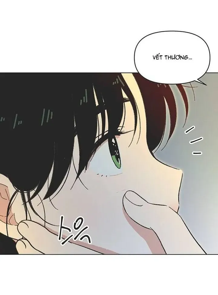 Chapter 56