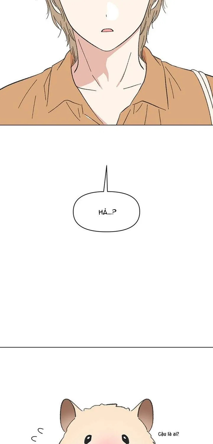 Chapter 60