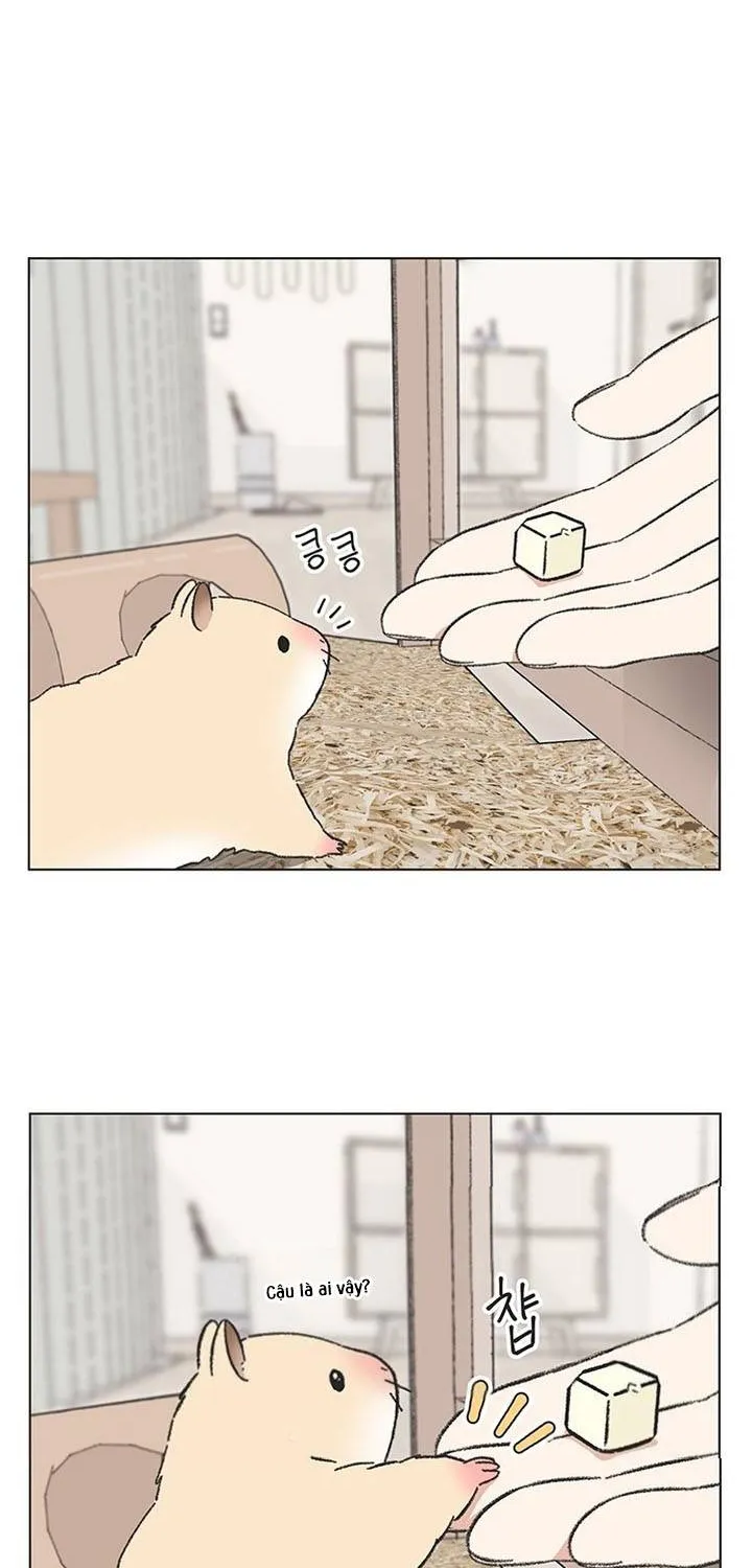 Chapter 60