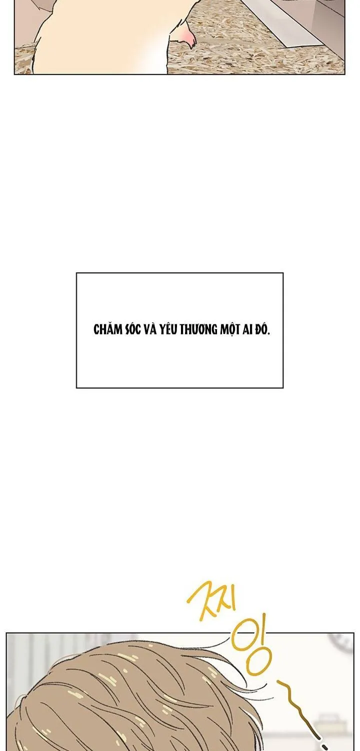 Chapter 60
