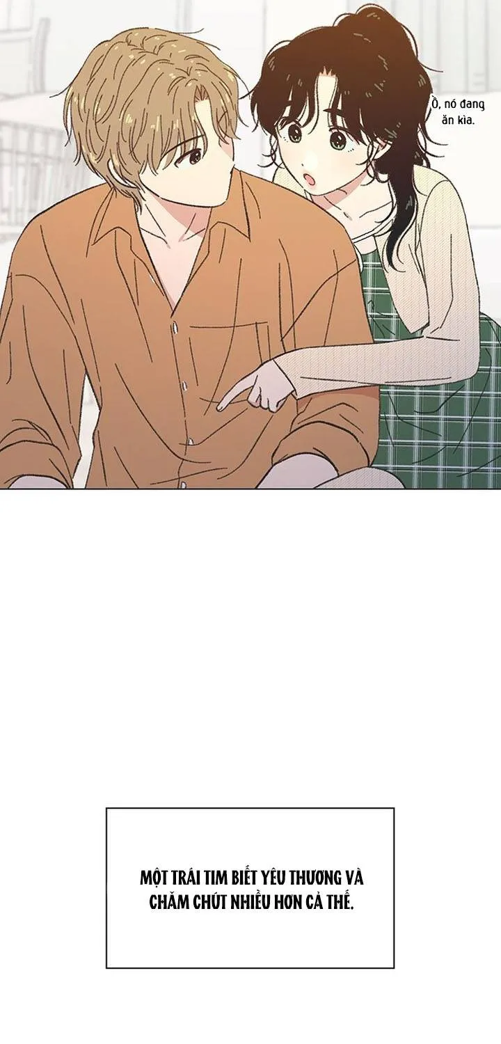 Chapter 60