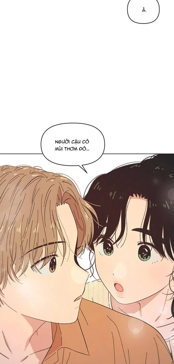 Chapter 60