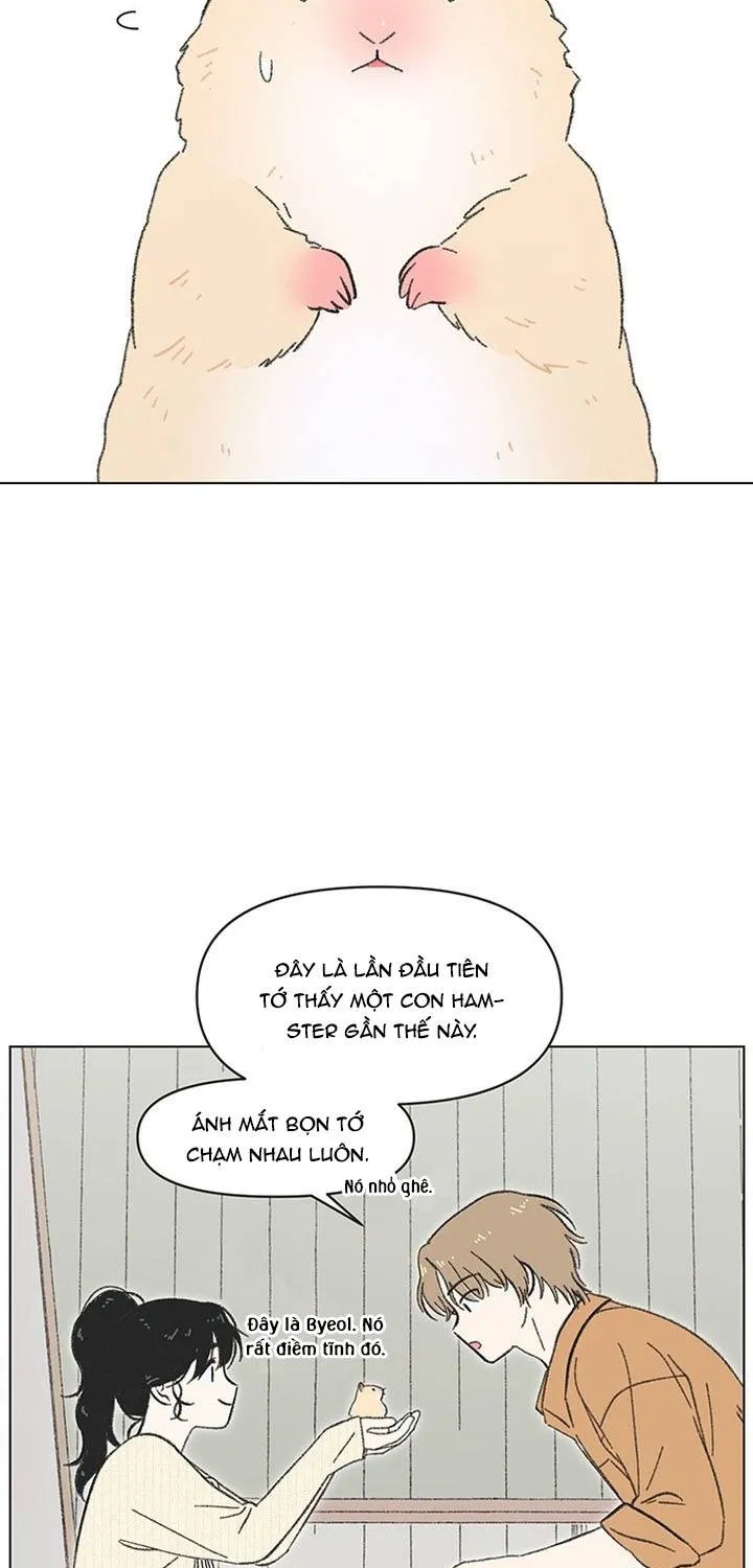 Chapter 60