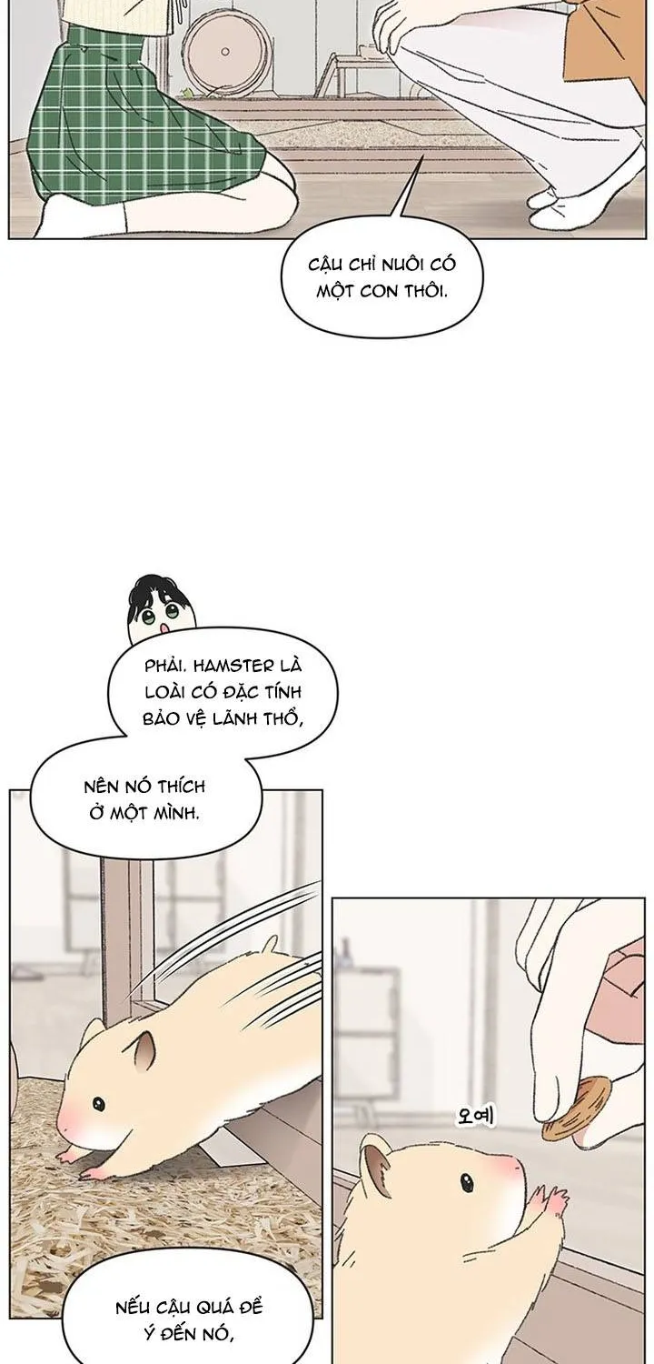 Chapter 60