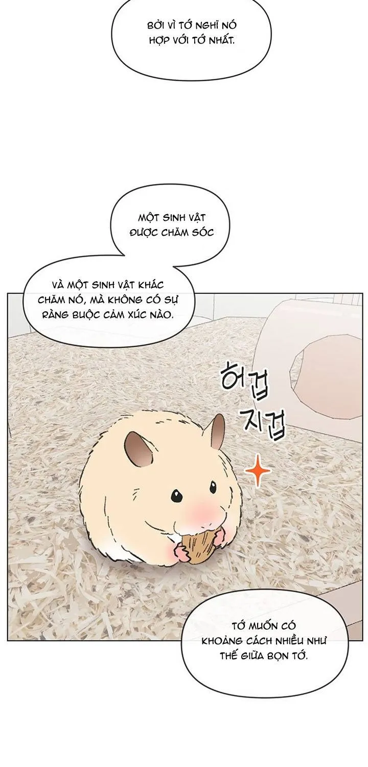 Chapter 60
