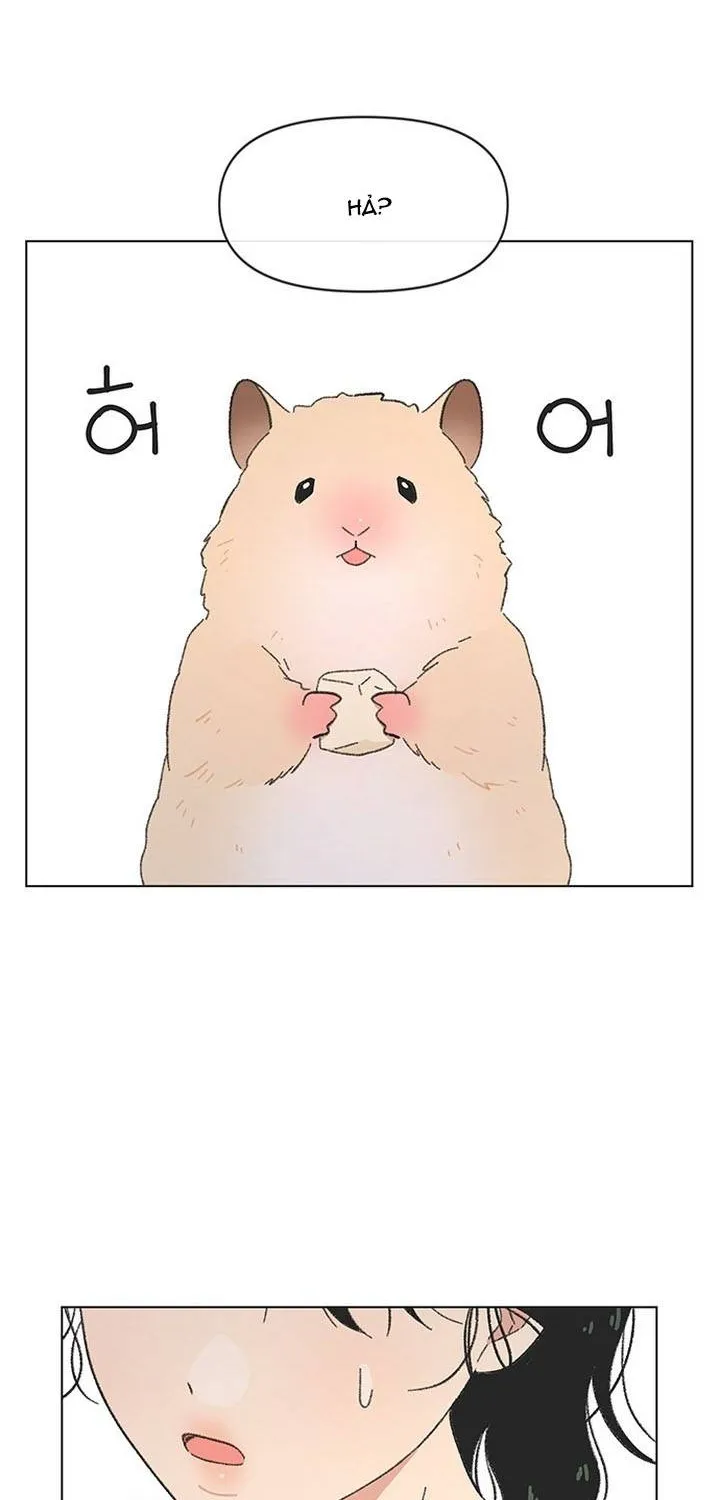 Chapter 60