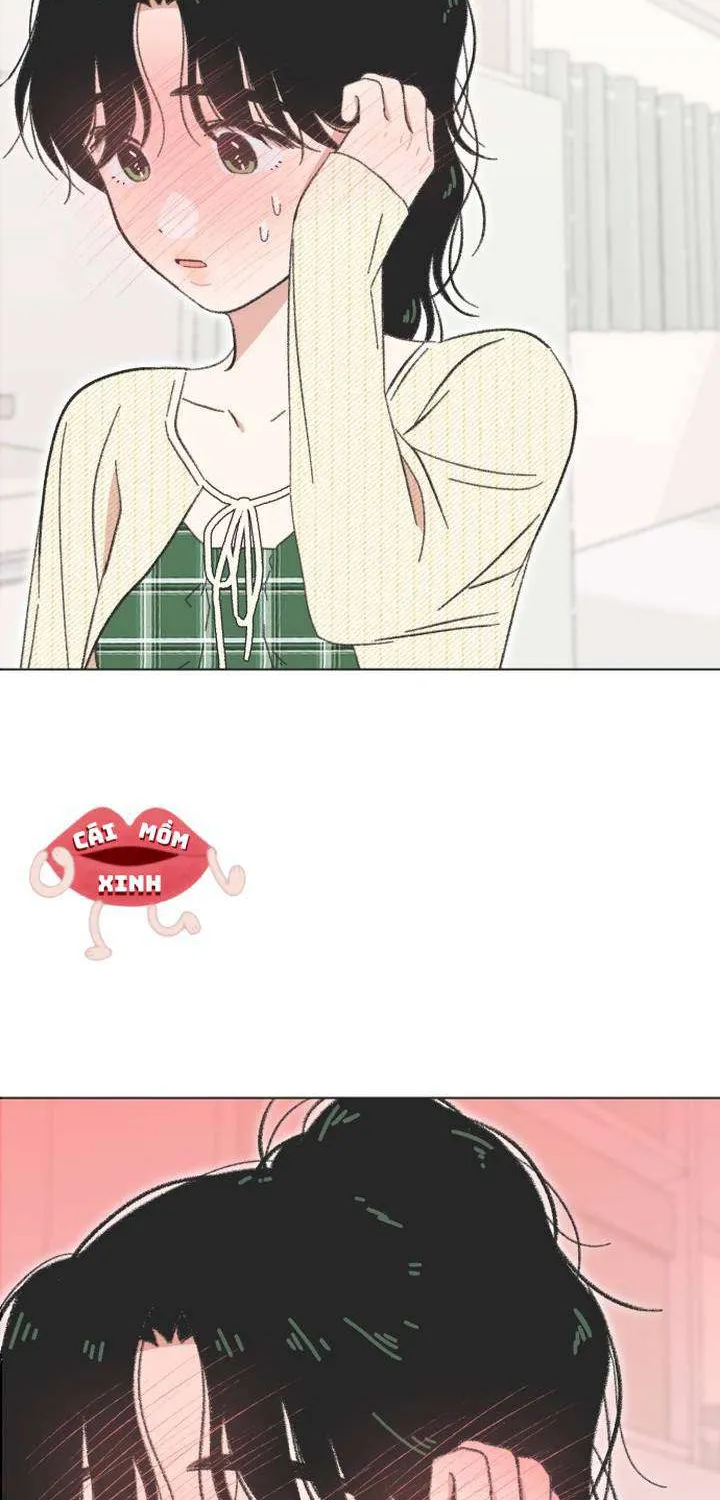 Chapter 61