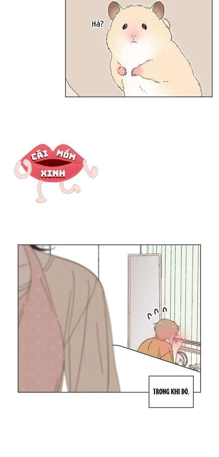 Chapter 61
