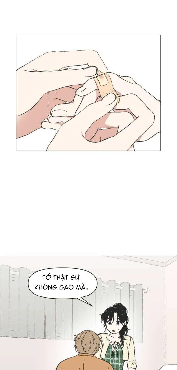 Chapter 61