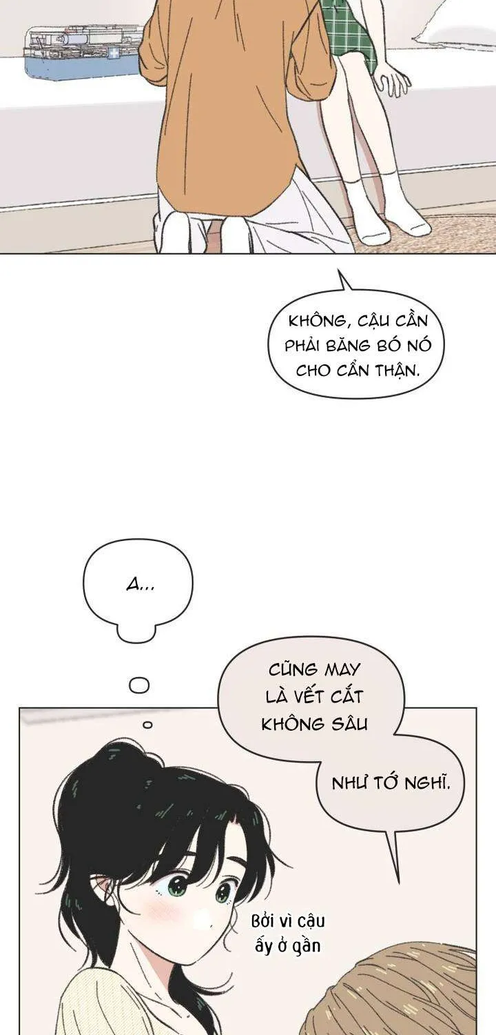 Chapter 61
