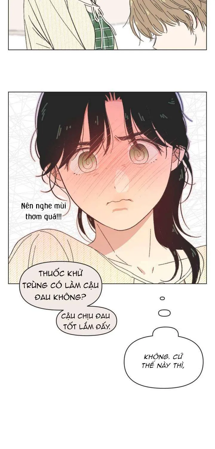 Chapter 61