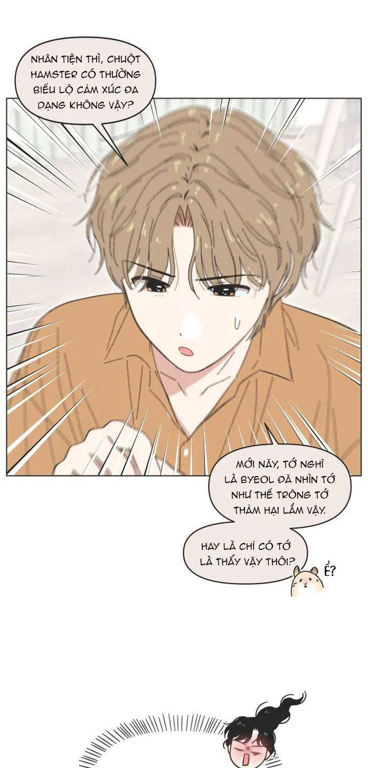 Chapter 61