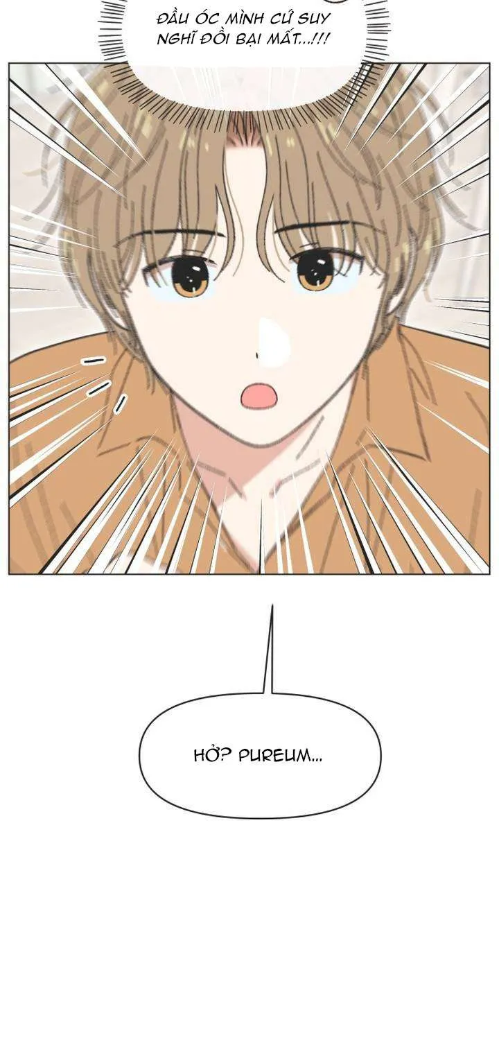 Chapter 61