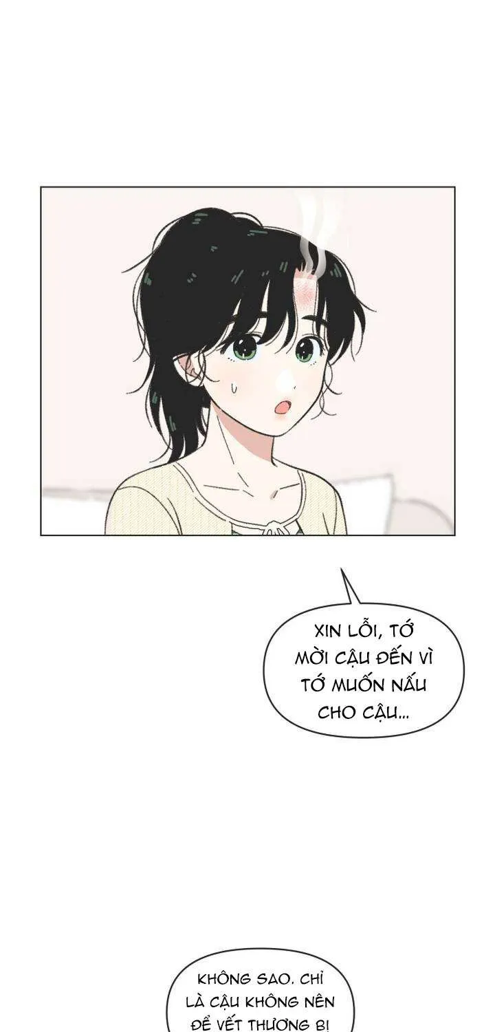 Chapter 61