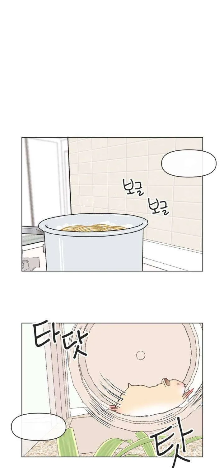 Chapter 61