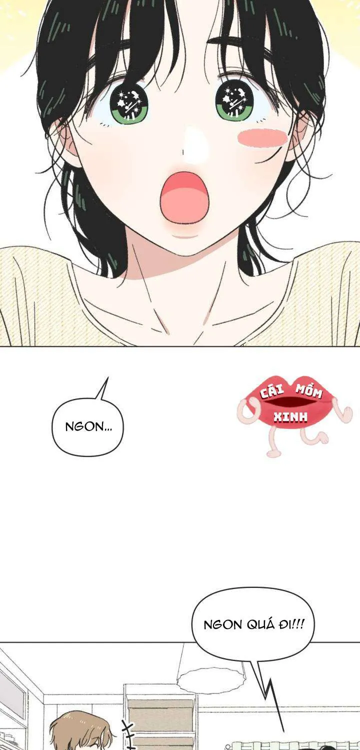 Chapter 61