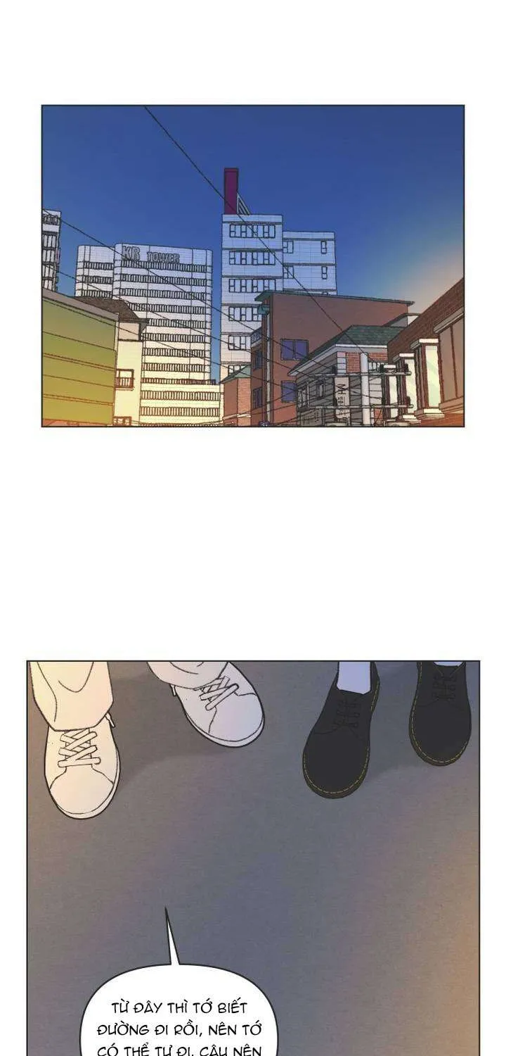 Chapter 61