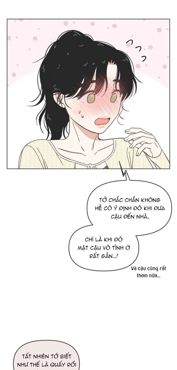 Chapter 61