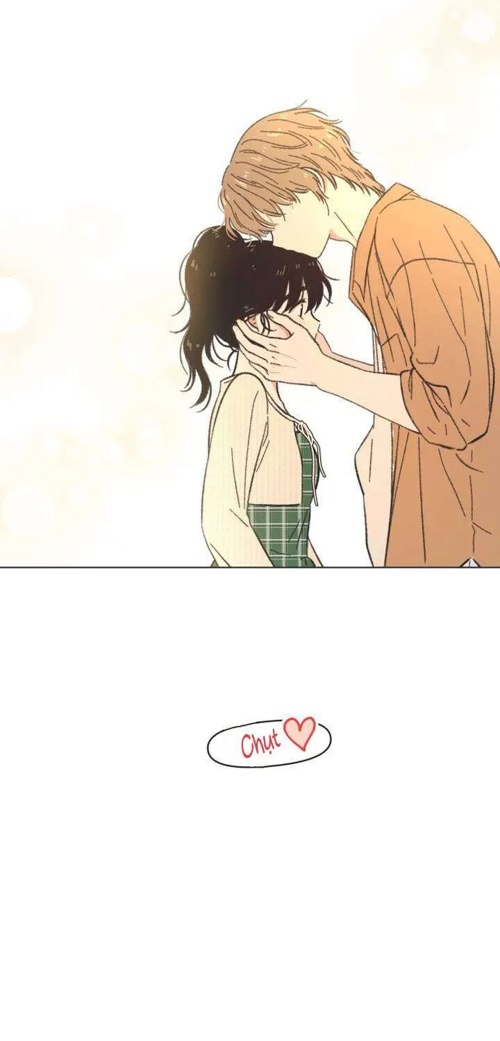 Chapter 61