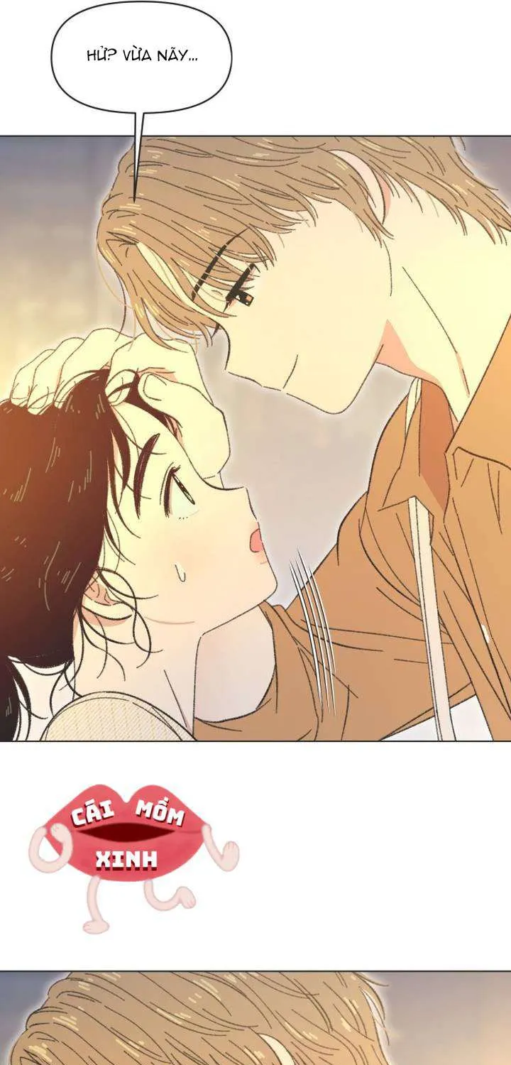 Chapter 61