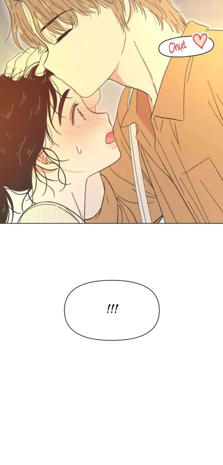 Chapter 61
