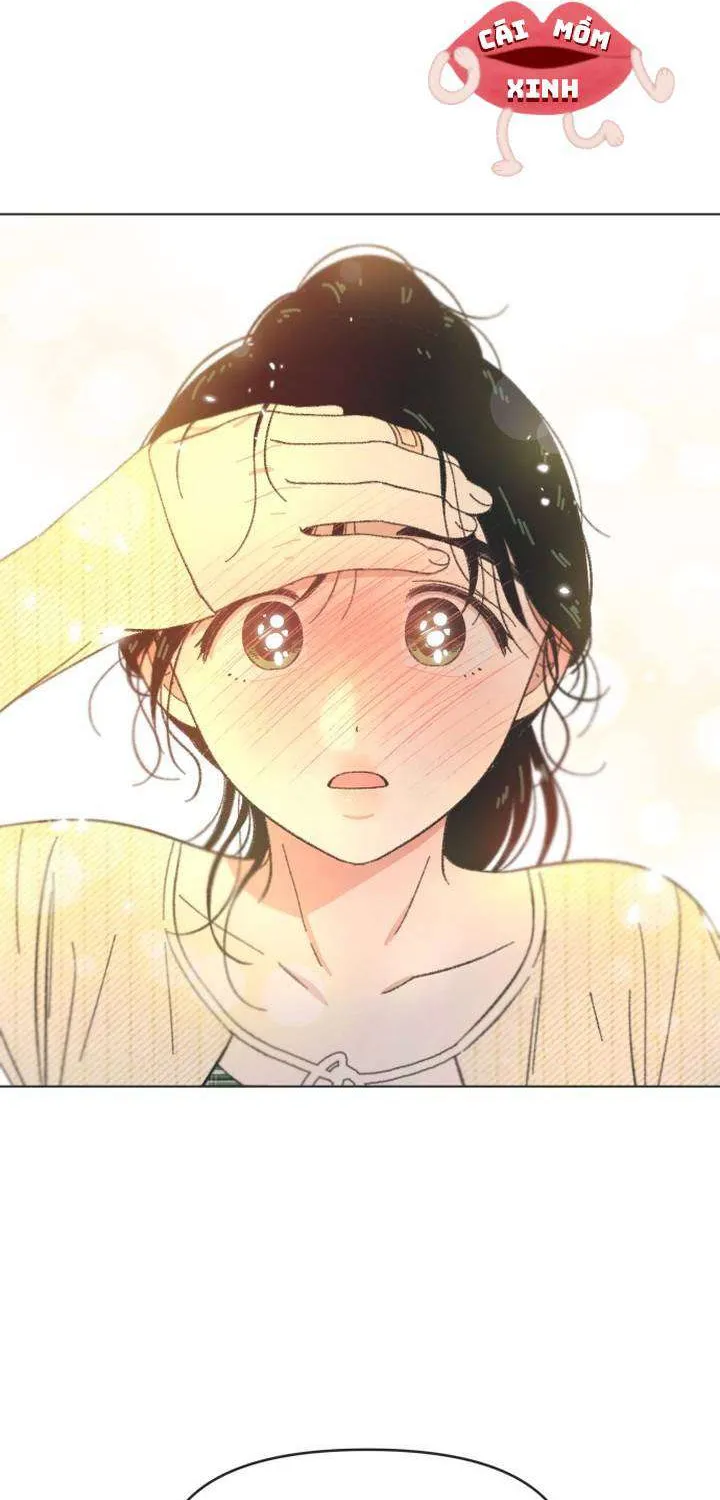 Chapter 61