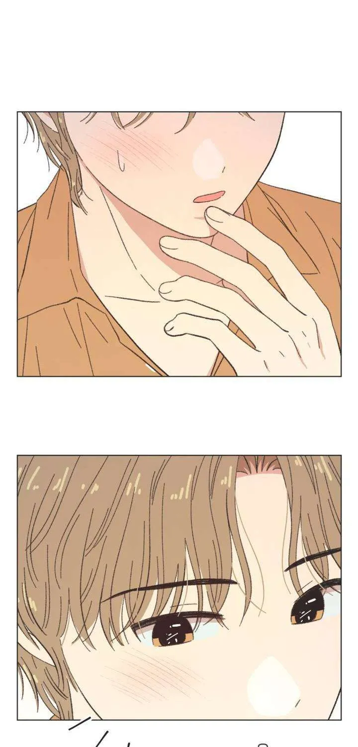 Chapter 61