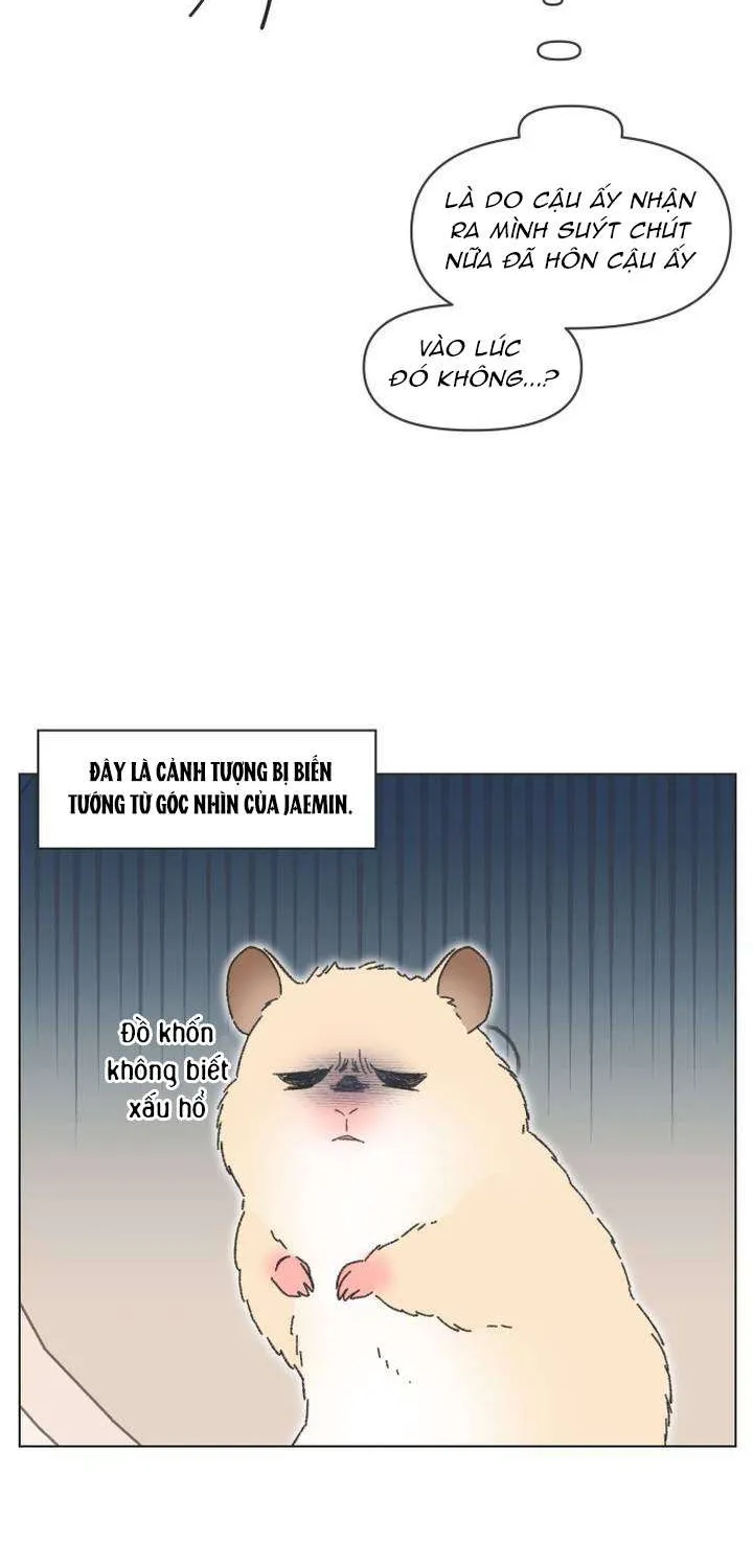 Chapter 61